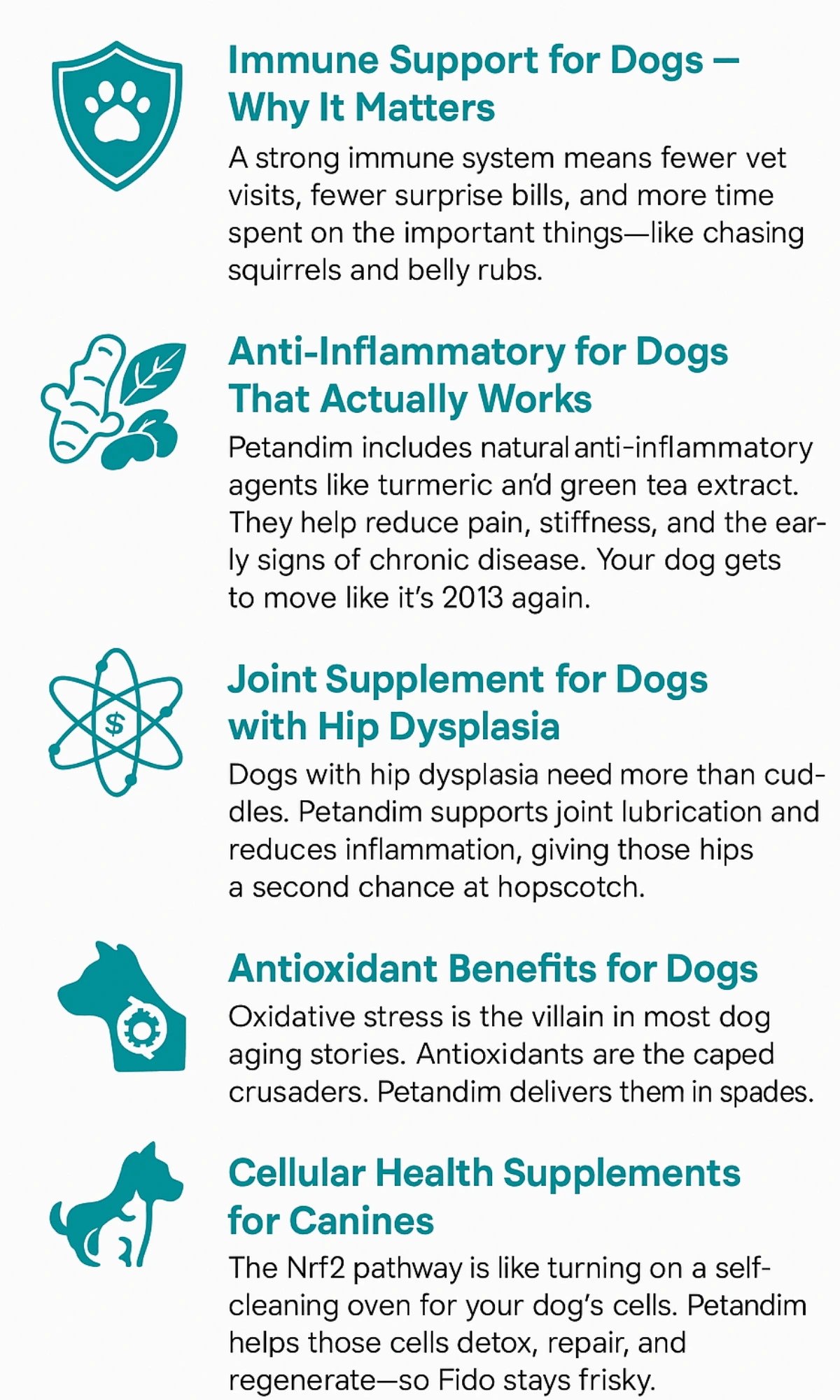 petandim-dog-supplement-benefits-infographic petandim-dog-supplement-benefits-infographic