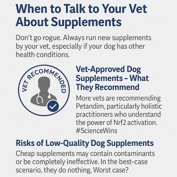 petandim-vet-recommended-dog-supplement petandim-vet-recommended-dog-supplement