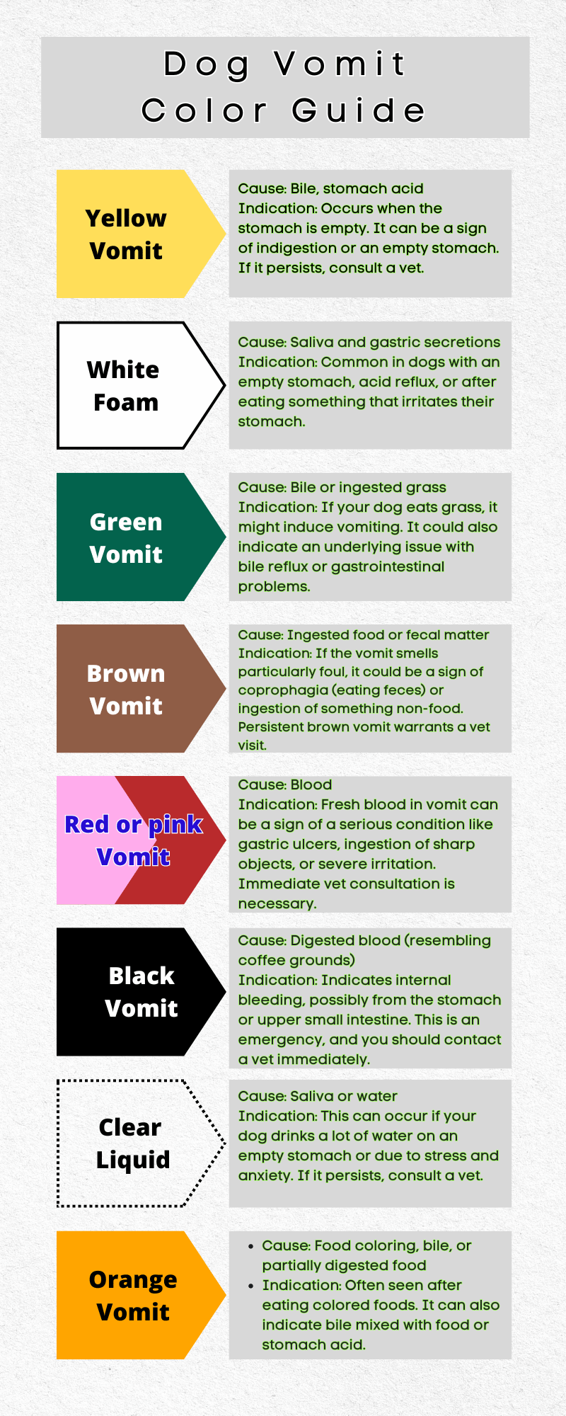 Dog Vomit Color Guide