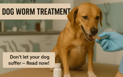 Dog Worm Treatment