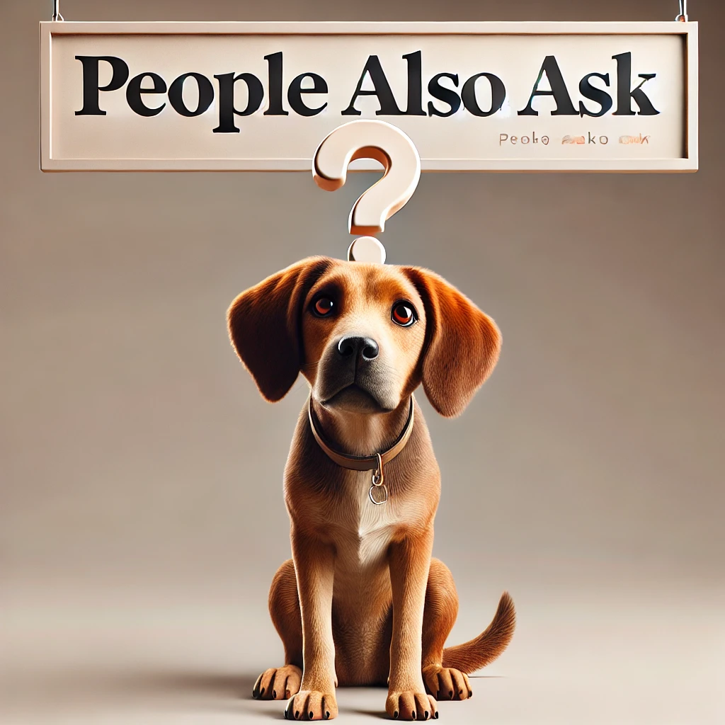 People Also Ask-