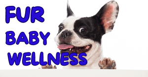 Fur Baby Wellness