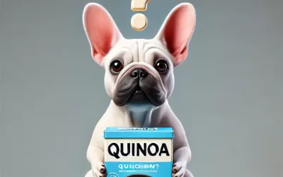 Can Dogs Eat Quinoa? Benefits and Risks Explained