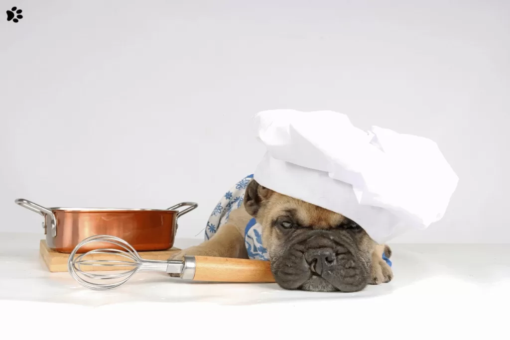 Gently cooked dog food