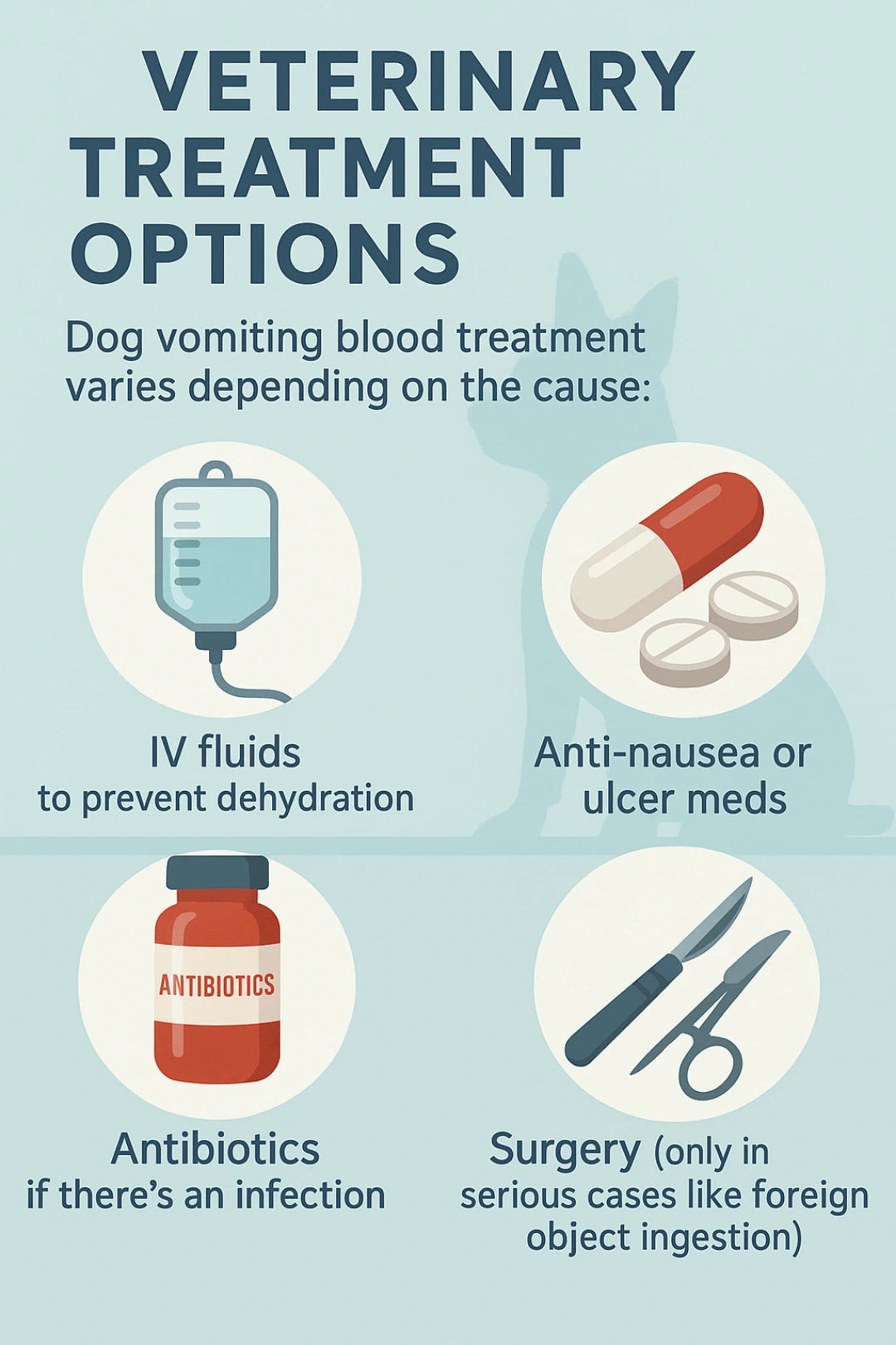 Veterinary Treatment Options