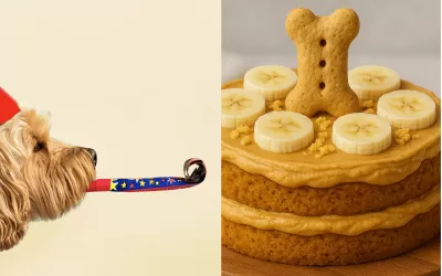 Easy Peanut Butter and Pumpkin Dog Cake Recipe – Dog-Safe