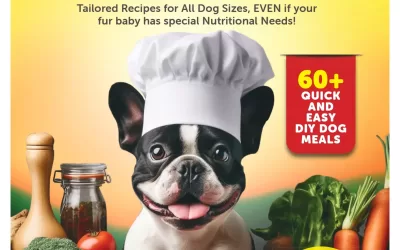 Healthy Homemade Dogfood